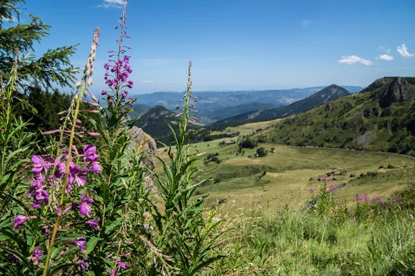 Mezenc, les estables, haute loire, Frankreich — Stockfoto