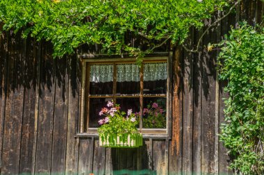 Bionnassay, haute savoie, France