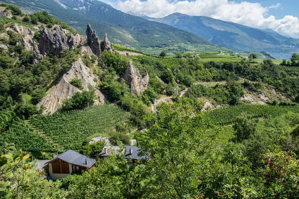 Salgesch, valais, Schweiz — Stockfoto