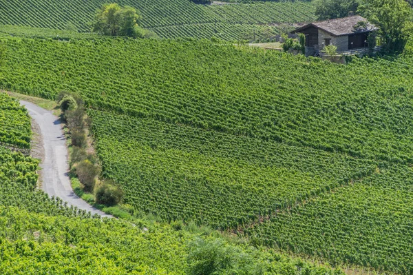 Salgesch, wallis, schweizerisch — Stockfoto