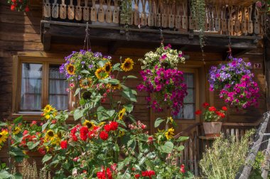 Saint Martin, alpage de l 'a vieille, valais, swiss