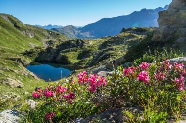 Cheserys, Mont Blanc, Chamonix, Haute Savoie, Fransa