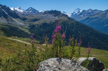 Chandolin, valais, swiss