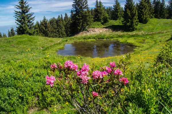 Belledone 山区, isere, 法国 — 图库照片