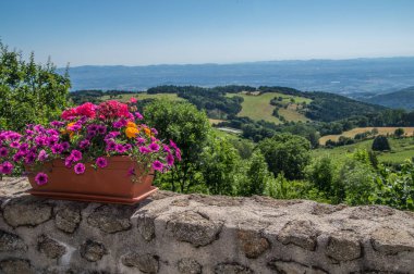 Aziz bonesi le courreau, loire, France