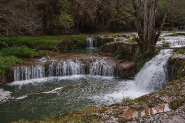  Charmine, samognat, ain, France