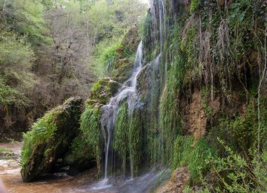  Charmine, samognat, ain, France