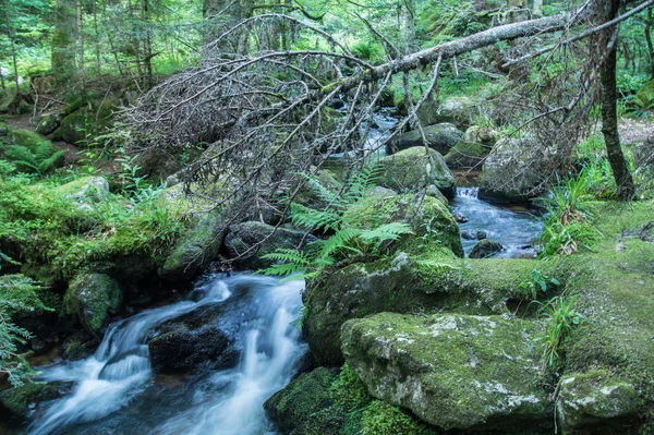 ,cachoeira, chorsin, loire, frança — Fotografia de Stock