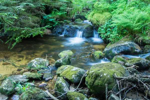 ,cachoeira, chorsin, loire, frança — Fotografia de Stock