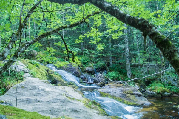 ,cachoeira, chorsin, loire, frança — Fotografia de Stock