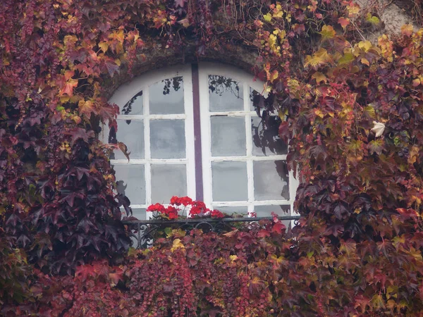 Blois, loir et cher, francia — Foto de Stock