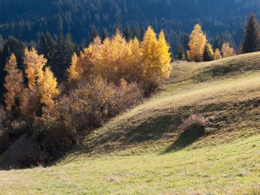 col du Joly, comtamines-montjoie, Haute Savoie, Fransa