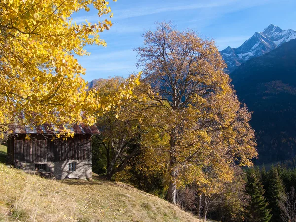 Col Joly Comtamines Montjoie Haute Savoie France — Stock Photo, Image