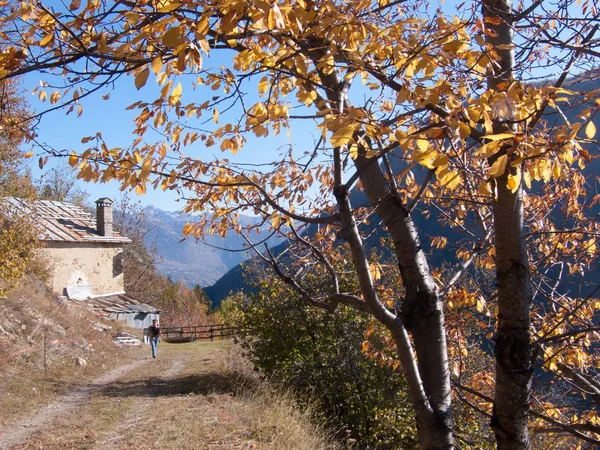 Vallon Thuile Elevaz Val Aoste Italia —  Fotos de Stock