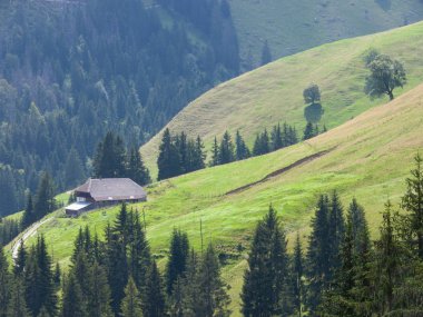  shwarzee, fribourg, İsviçre