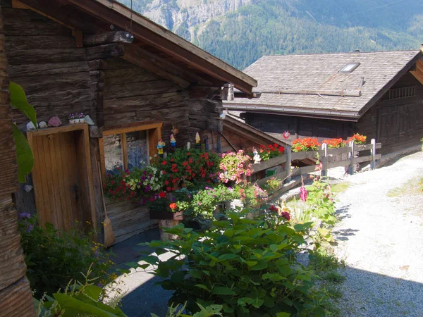 Paysage Valais Suisse — Fotografia de Stock