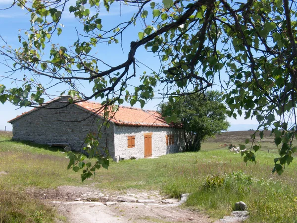 Jasseries de colliegne,sauvain,loire,france — Zdjęcie stockowe