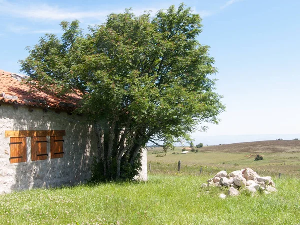 Jasseries de colliegne,sauvain,loire,france — Zdjęcie stockowe