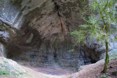  la carbone du boeuf,jura,fransa