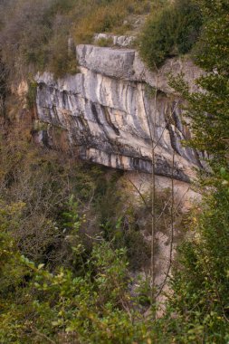  la carbone du boeuf,jura,fransa