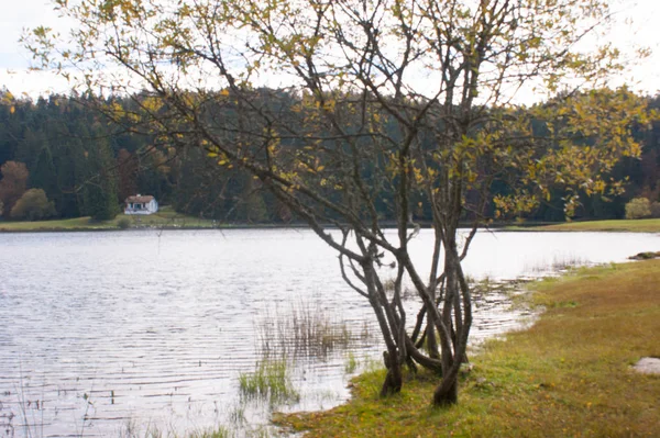 Lac genin, ain, france — Photo