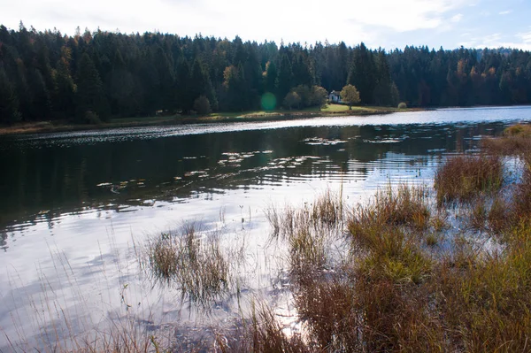 Lac genin,ain,france — 스톡 사진