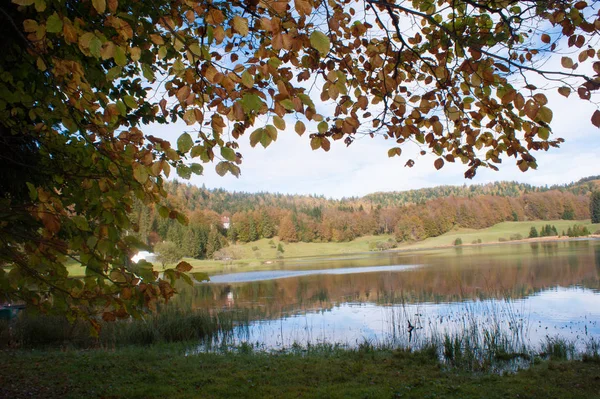 Lac genin, ain, france — стоковое фото