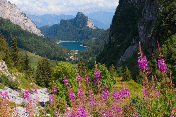  Göl tanay, vaud, İsviçre