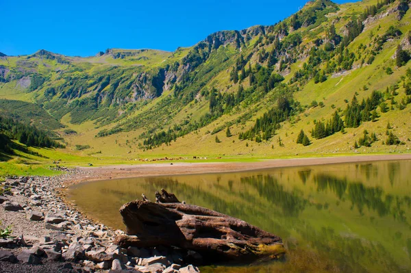 法国高级萨瓦蒙古包湖 — 图库照片