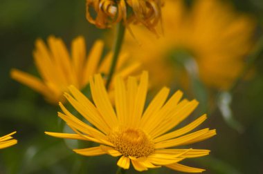  hautes alpes, France