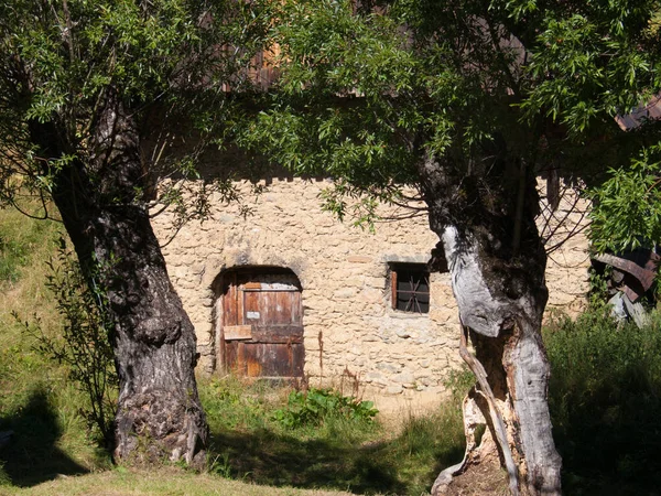 Pres plans, santo sorlin, haute savoie, francia — Foto Stock