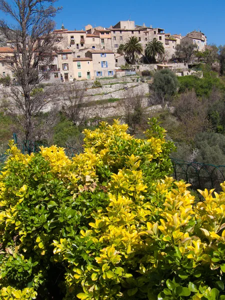 Gorbio, alpes maritimes, france — Stock fotografie