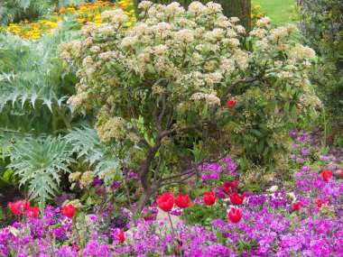  Park Phoenix, güzel. Fransız Rivierası, Alpes-Maritimes, Fransa