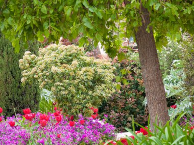  Park Phoenix, güzel. Fransız Rivierası, Alpes-Maritimes, Fransa