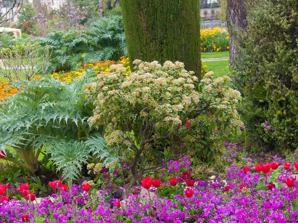  Park Phoenix, güzel. Fransız Rivierası, Alpes-Maritimes, Fransa