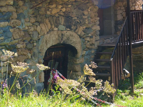 Pres planos, saint sorlin, haute savoie, frança — Fotografia de Stock