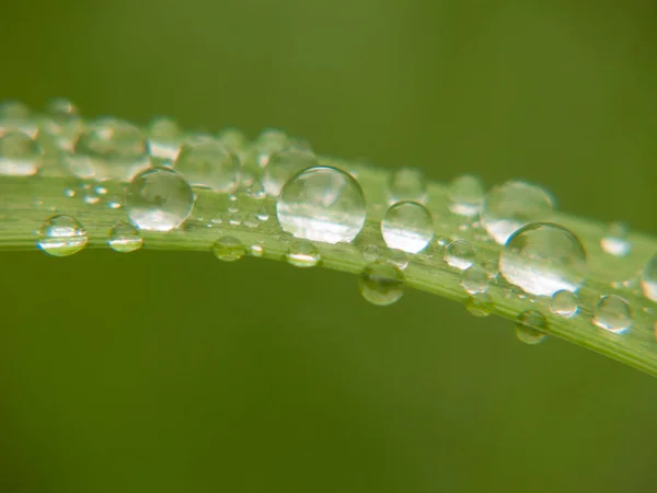 Gota Agua Haute Loire Francia — Foto de Stock