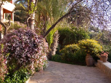 Otel şelalesi, limuzin, agadir, maroc