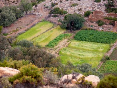 Immouzer, agadir, maroc hakkında