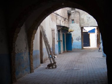 Essaouira in maroc in afrique