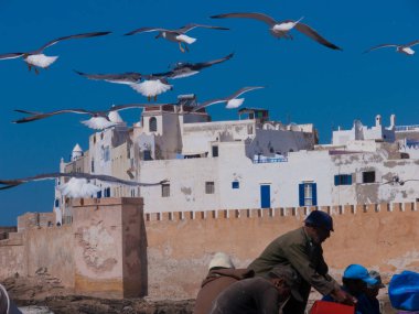 Kuzey Afrika'nın tipik şehir