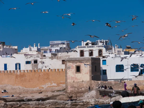 Typické Město Severní Afriky — Stock fotografie