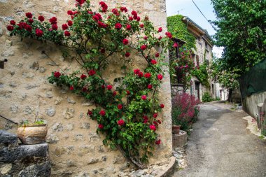 Motte chalancon, drome, France