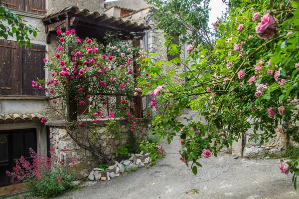 Motte chalancon, drome, france — Stock fotografie