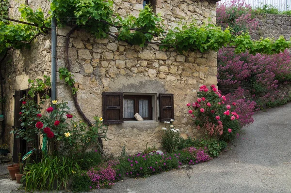 Motte chalancon, drome, france — Stock fotografie