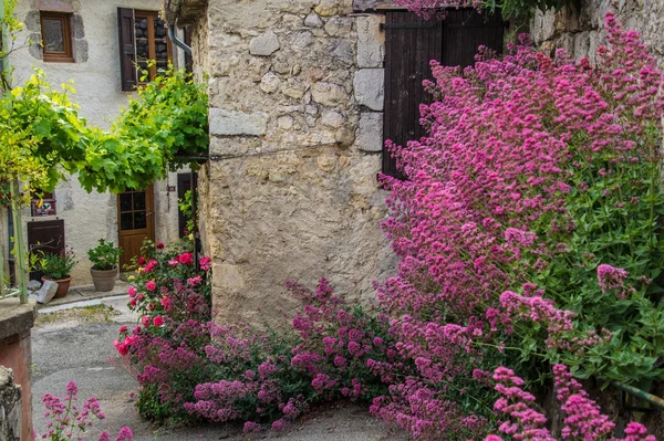 Motte chalancon, drome, france — стоковое фото