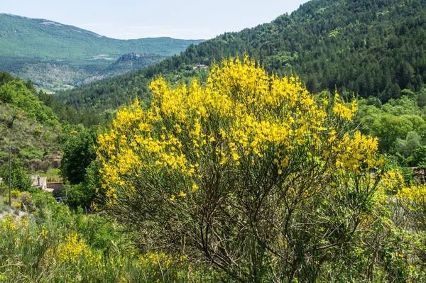 Val di oule, motte chalancon, dromo, francia — Foto Stock