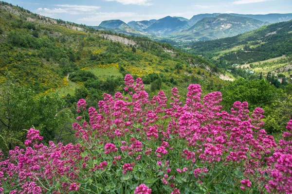 chalancon, cdome, France