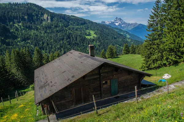 Paisaje de los Alpes suizos —  Fotos de Stock