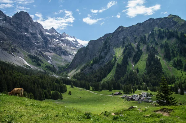 スイスアルプスの風景は — ストック写真